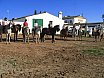 RUTA SIERRA DE SAN PEDRO