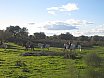 RUTA LOS BARRUECOS