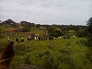 RUTA POR LA DEHESA 2015
