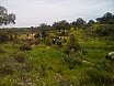 RUTA POR LA DEHESA 2015